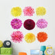 Dahlia Set Wall Decal