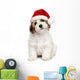 Cute Christmas Havanese Puppy Wall Decal