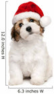 Cute Christmas Havanese Puppy Wall Decal