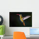 Gilded Hummingbird Hylocharis Chrysura Wall Decal