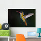 Gilded Hummingbird Hylocharis Chrysura Wall Decal