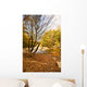 Mountain Small River Wall Decal