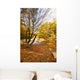 Mountain Small River Wall Decal