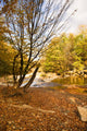Mountain Small River Wall Decal