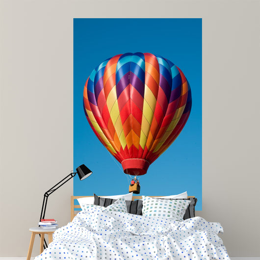 Ascending Colorful Hot Air Wall Decal