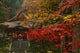 Buddhist Temple Fall Wall Decal
