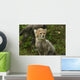 Baby Cheetah Wall Decal