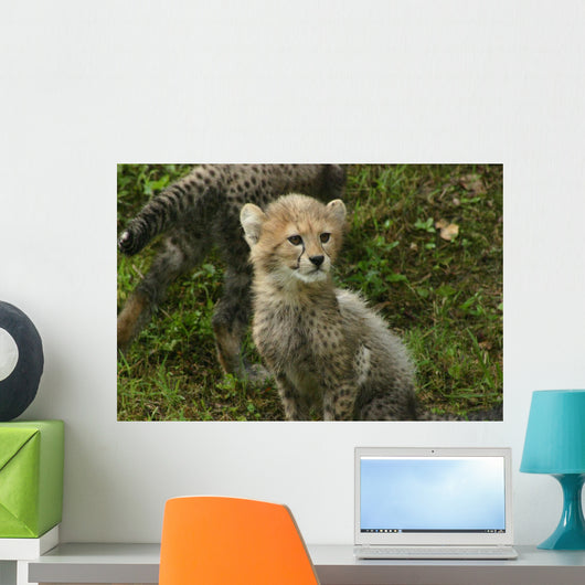 Baby Cheetah Wall Decal