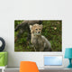 Baby Cheetah Wall Decal