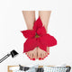 Christmas Poinsettia Spa Wall Decal