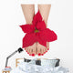 Christmas Poinsettia Spa Wall Decal