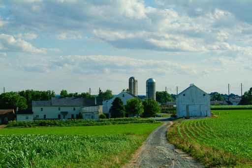 Amish Farm And Cornfield Wall Decal