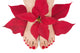 Christmas Foot Spa Wall Decal