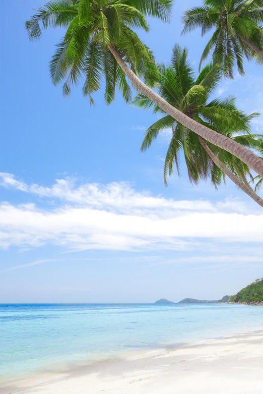 Tropical Beach Wall Decal