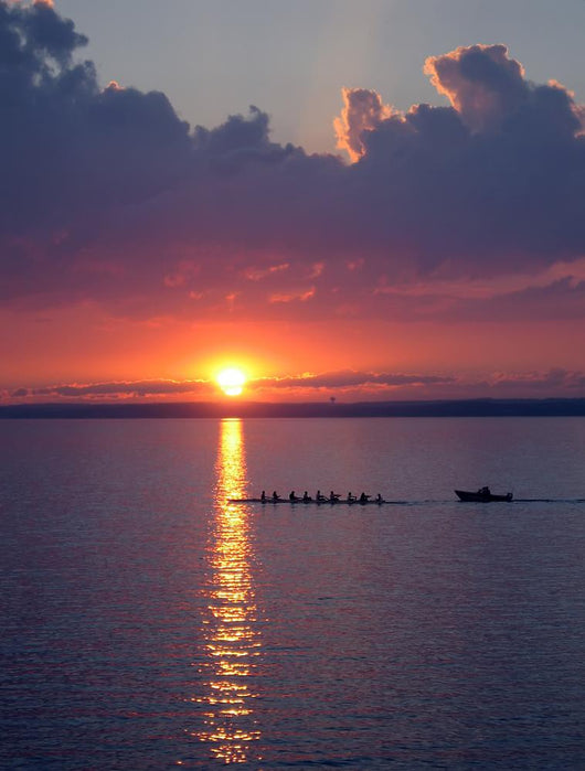 Crew Practice Lake Sunset Wall Decal