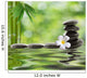 Spa Stones With Frangipani Wall Decal
