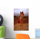 Peruvian Paso Foal Vertical Wall Decal