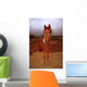Peruvian Paso Foal Vertical Wall Decal