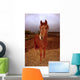 Peruvian Paso Foal Vertical Wall Decal