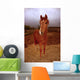 Peruvian Paso Foal Vertical Wall Decal