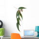 Gum Leaves And Gumnuts Wall Decal