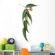 Gum Leaves And Gumnuts Wall Decal
