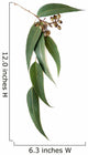Gum Leaves And Gumnuts Wall Decal