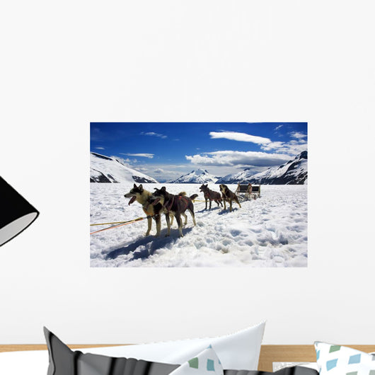 Dog Sledding Alaska Wall Decal