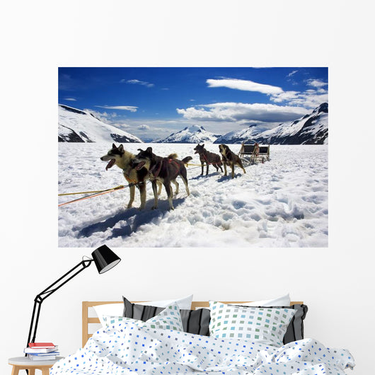 Dog Sledding Alaska Wall Decal