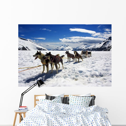Dog Sledding Alaska Wall Decal