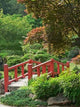 Small Bridge Japanese Garden Wall Decal