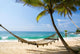Under Palms Wall Decal