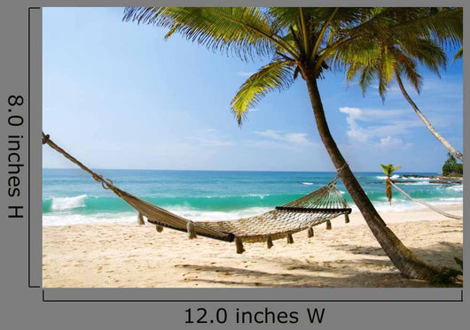Under Palms Wall Decal