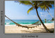 Under Palms Wall Decal