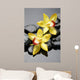 Spa Concept-Beautiful Orchid With Stones Wall Decal