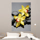Spa Concept-Beautiful Orchid With Stones Wall Decal