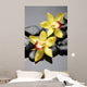 Spa Concept-Beautiful Orchid With Stones Wall Decal