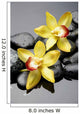 Spa Concept-Beautiful Orchid With Stones Wall Decal