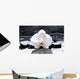 Zen Or Spa Still Wall Decal