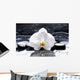 Zen Or Spa Still Wall Decal