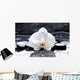 Zen Or Spa Still Wall Decal