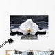 Zen Or Spa Still Wall Decal