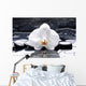 Zen Or Spa Still Wall Decal