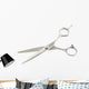 Scissors Flat Hairdresser White Wall Decal