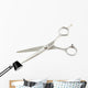 Scissors Flat Hairdresser White Wall Decal