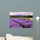 Lavender Farm Sequim Washington Wall Decal