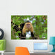 White Faced Capuchin Wall Decal