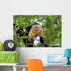 White Faced Capuchin Wall Decal