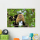 White Faced Capuchin Wall Decal