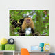 White Faced Capuchin Wall Decal